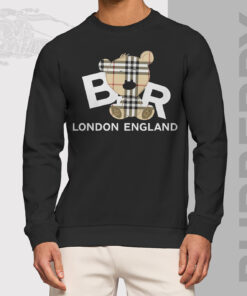 Luxury Brand Unisex Sweatshirt LL241003003