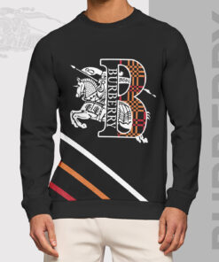 Luxury Brand Unisex Sweatshirt LL241003015