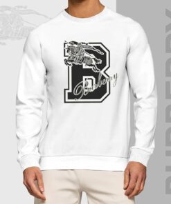 Luxury Brand Unisex Sweatshirt LL241003055