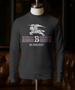 Luxury Brand Unisex Sweatshirt NG250905007