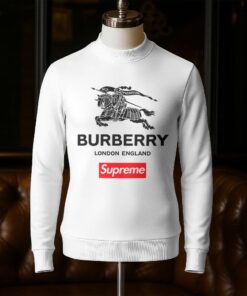 Luxury Brand Unisex Sweatshirt NG250905011