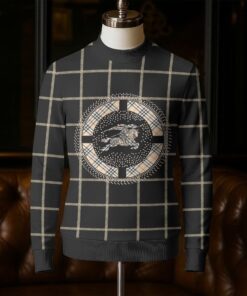 Luxury Brand Unisex Sweatshirt NG250905017