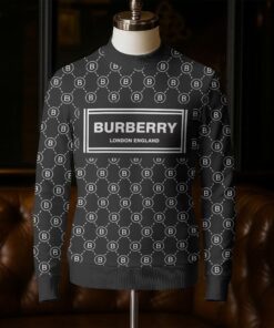 Luxury Brand Unisex Sweatshirt NG250905018