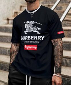 Hot Brand L Luxury T-Shirt PU24062655