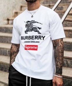 Hot Brand L Luxury T-Shirt PU24062657