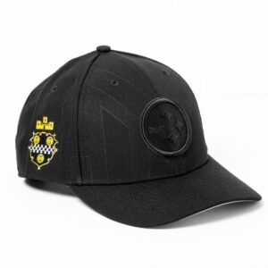 Limited Edition Steelers Football 1933 Legacy Hat-AB072125002