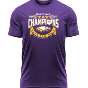 Limited Edition Back To Back Champions Tshirt-AB1206256004
