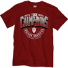 Indiana Football x BIG10 Champions 2025 TShirt-AB1207251002