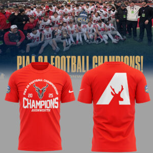 Limited Edition AvonworthFB Champs Tshirt-ND12242509