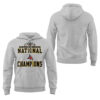Limited Edition Falcon Football 2025 NCAA Division III National Champions Hoodie-LL260105028