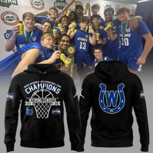 Limited Edition 2026 OHSAA Boys Basketball D3 State Champions Hoodie-ND03212605