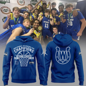 Limited Edition 2026 OHSAA Boys Basketball D3 State Champions Hoodie-ND03212608