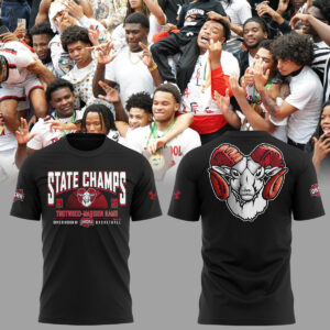 Limited Edition 2026 OHSAA Boys Basketball D3 State Champions Tshirt-ND03212620