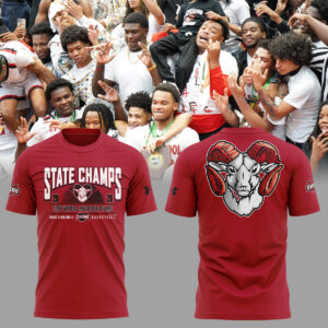 Limited Edition 2026 OHSAA Boys Basketball D3 State Champions Tshirt-ND03212621