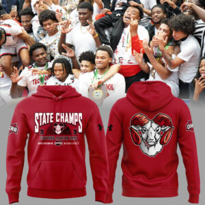 Limited Edition 2026 OHSAA Boys Basketball D3 State Champions Hoodie-ND03212622