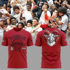 Limited Edition 2026 OHSAA Boys Basketball D3 State Champions Tshirt-ND03212616