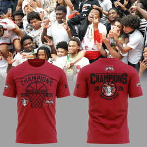 Limited Edition 2026 OHSAA Boys Basketball D3 State Champions Tshirt-ND03212613