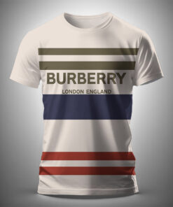 Hot Brand Luxury T-Shirts HD8313