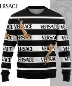 Hot Brand Luxury Sweater HY2411126715