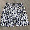 Luxury Brand Beach Shorts  - Win230281