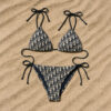 Limited Edition Bikini - LH090402