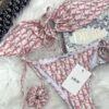 Limited Edition Luxury Brand Bikini - Win260395
