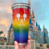 Luxury Brand Tumbler 20oz Mickey Disney - Win100664